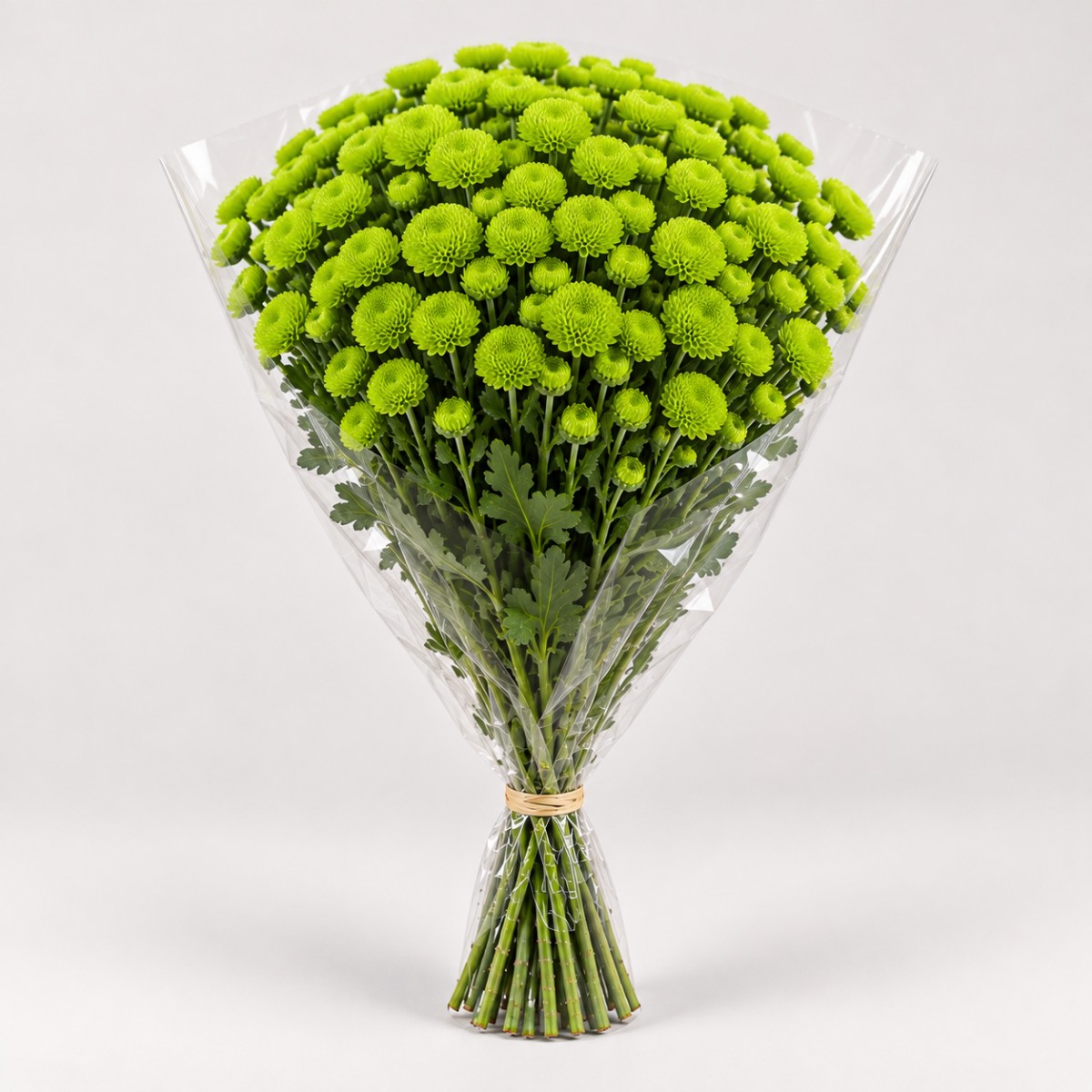 Biçme Top Yeşil 55 Gr / Chr T Deligreen